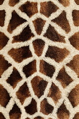 Giraffe Stripes Seamless Pattern, Symmetrical Brown and White Skin Texture Illustration