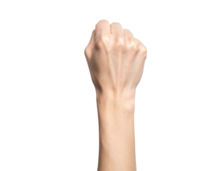 Female Fist Raised Upwards Against A Transparent Background Symbolizing Power Strength And Determination