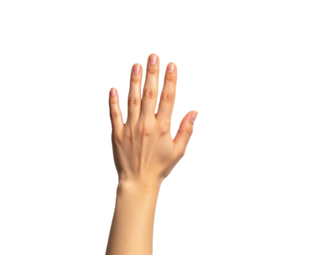 A Person'S Open Left Hand Raised With Fingers Spread isolated on transparent background. PNG die-cut for advertising