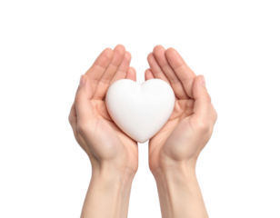 Two Cupped Hands Gently Holding A Smooth White Heart Shape isolated on transparent background. PNG die-cut for advertising