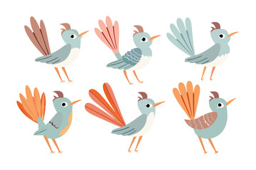 Exotic Bird Collection: A collection of delightful illustrations showcasing charming, whimsical birds with vibrant plumage and distinct personalities.