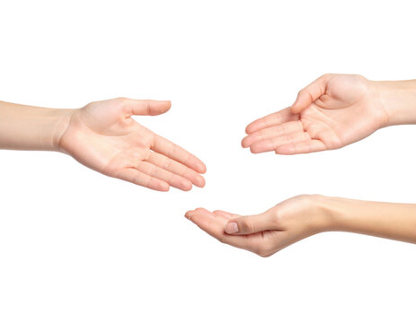 Three Open Hands Extended Reaching Towards Each Other isolated on transparent background. PNG die-cut for advertising