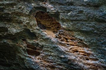 Birds nest inside a natural formed hole inside the rock at Gobustan