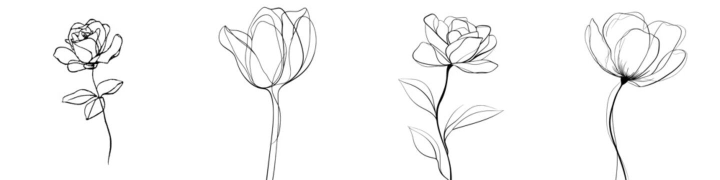 A rose flower bud is depicted in a continuous line art drawing style, characterized by minimalist black linear design isolated on a white background, forming a modern illustration
