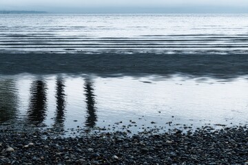 Calm water reflections of trees on a pebbled shore