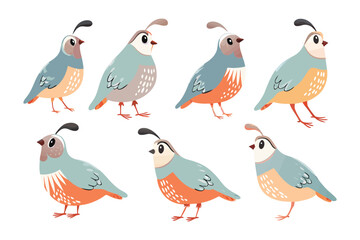 Quail Bird Collection: A charming collection of quail birds in various poses and colors, perfect for educational materials, decorative projects, or nature-themed designs. 
