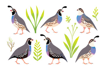 Quails in the Greens: Capturing the elegance of six quails amidst fresh and lush greenery, where each quail, characterized by distinct plumage and grace, explores its verdant habitat
