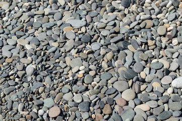 close-up - different stones on a pebble beach by the sea