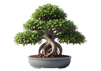 Detailed bonsai tree with lush foliage in a gray pot.