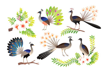 Obraz premium Peacocks in Bloom: An eye-catching, high-quality illustration showcases a gathering of majestic peacocks, each adorned with vividly colored plumage, set amidst a vibrant array of blooming flora. 