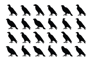 Silhouetted Eagles: A striking array of silhouetted eagles against a clean backdrop, creating a powerful visual representing strength, freedom, and soaring ambition.