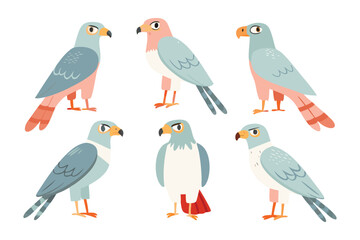 Six Unique Birds Illustration: A collection of six distinct bird illustrations. The artwork showcases various angles and poses.