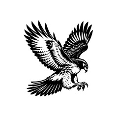 Obraz premium Majestic Black and White Hawk in MidFlight with Detailed Feathers.