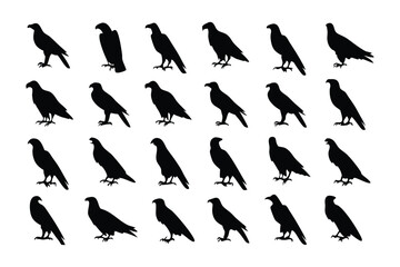 Eagle Silhouette Display: A captivating series of eagle silhouettes elegantly arranged, creating a striking visual display of power and freedom, perfect for diverse design applications.