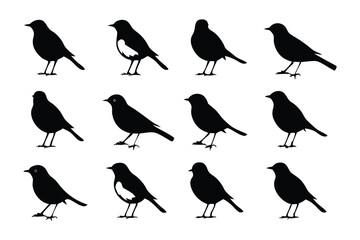 Avian Silhouette Symphony: A harmonious arrangement of silhouette of birds, creating a simple image for artistic and symbolic representation. 