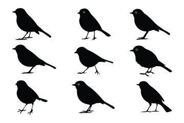Silhouette Birds Collection: A graphic display of avian elegance featuring a collection of nine meticulously crafted silhouette birds, perfect for artistic and design applications.