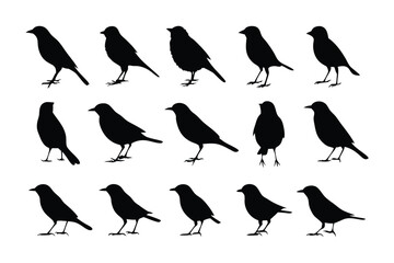 Silhouette Flock of Birds: A minimalist illustration of a flock of birds in silhouette, captured in a moment of flight or rest, evoking a sense of freedom and the beauty of avian life. 