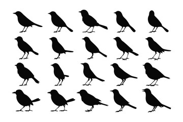 Bird Silhouette Pattern: A striking pattern of bird silhouettes against a contrasting background, capturing the elegance of nature's winged creatures in a captivating visual.