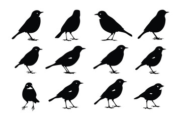 Bird Silhouettes: A collection of elegant bird silhouettes, artfully arranged against a bright backdrop, evokes a sense of serene flight. These avian outlines, ranging in pose and form.