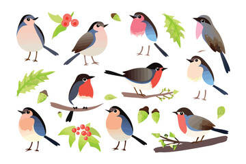 Collection of Cartoon Birds: A vibrant collection of meticulously illustrated cartoon birds, each one unique in pose and plumage, showcasing a playful array of nature's feathered wonders