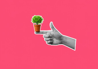 Promoting growth and new beginnings, a hand holds a thriving plant, perfect for eco-friendly campaigns or nature inspired designs with minimalist modern style