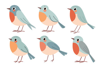 Variety of Birds: A charming visual presentation featuring a range of bird illustrations, offering a glimpse of avian diversity.
