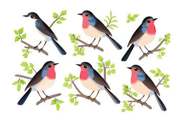 Charming Robins on Branches: An exquisite illustration featuring six detailed robins perched gracefully on leafy branches, showcasing the beauty of nature's avian elegance.