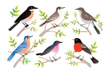 A Colorful Array of Birds: A charming collection of hand-drawn birds perched gracefully on delicate branches, bringing a touch of avian beauty to any project. 