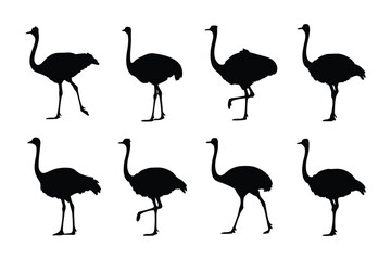 Ostrich Silhouette Collection: A set of stylish silhouettes of an ostrich, presenting diverse poses, great for design, graphic resources, and conceptual projects. 