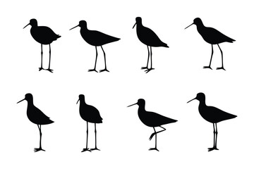 Shorebirds in Silhouette: A graphic depiction of eight elegant shorebirds in striking silhouette form, each captured in a unique pose, embodying the beauty and grace of these avian creatures. 