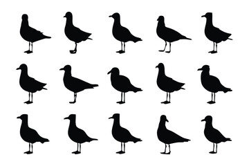 Seagull Silhouettes: A collection of seagull silhouettes against a clean backdrop, perfect for design projects. Simple elegance and natural beauty, a harmonious blend of nature and design.