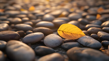 Smooth pebbles scattered on an autumn path