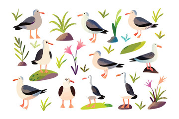 Seagull Collection: A collection of various seagulls amidst coastal elements, evoking a sense of seaside charm and seaside life.