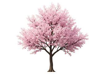Obraz premium Pink cherry blossom tree against a black background.