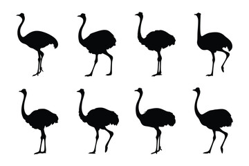 Fototapeta premium Ostrich Silhouette Array: An artistic depiction of ostriches in silhouette, presenting a series of elegant and graceful profiles, perfect for design usage.