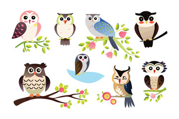 Charming Owl Collection on Branches: A delightful collection of various owl illustrations perches on flowering branches, each owl showcasing a unique design and personality.