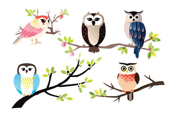Whimsical Owl Collection: A charming collection of intricately illustrated owls, perched elegantly on blossoming branches, their distinct plumage and expressions each telling a unique story.