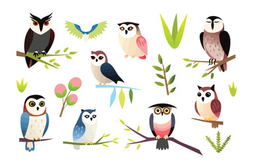 Colorful Owl Illustration: A captivating illustration showcases a collection of vibrant owls in diverse poses, branches and foliage. The image is a celebration of wildlife and nature's beauty.