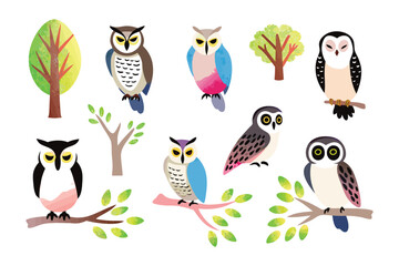 Enchanting Owl Illustration: A collection of whimsical illustrations, showcasing various owl species perched on branches, in front of tree