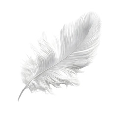 Delicate white feather with intricate details isolated on transparent background for design projects