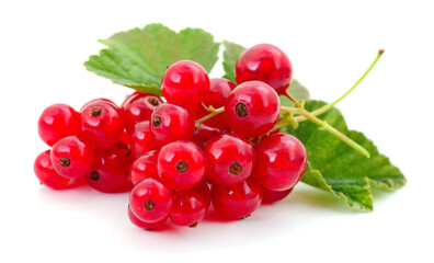Red currants with green leaves.