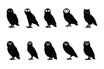Silhouette Owls in a Row: A collection of silhouette owls, creating a captivating display of these nocturnal creatures in a row, conveying a sense of watchful vigilance and mystery.