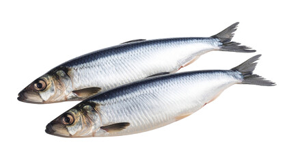 Obraz premium Herring fish isolated on transparent background