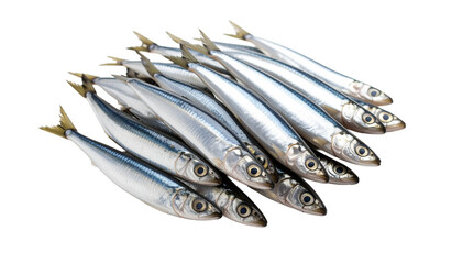 Anchovy fish isolated on transparent background