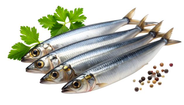 Anchovy fish isolated on transparent background