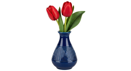 Isolated Red Tulips in Blue Vase