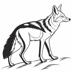 wolf vector illustration