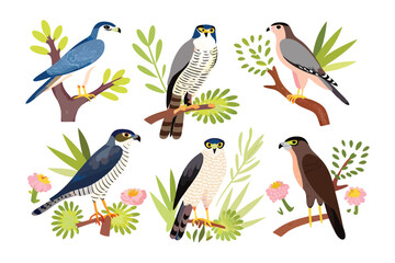 A Symphony of Hawks on Branches: A collection of intricately designed hawks, perched gracefully on stylized branches amid lush foliage and vibrant flowers, presented with crisp clarity.