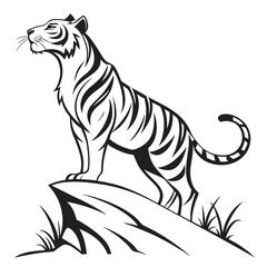 tiger vector illustration