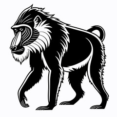 lion vector illustration